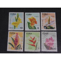 Куба 1974 г. Цветы.