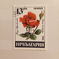 Болгария 1985. Флора. Роза