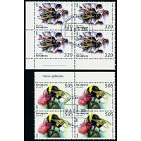 Пчёлы, осы, шмели Беларусь 2004 год (573-574) 2 марки в квартблоках