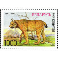 Рысь Беларусь 1996 год 1 марка