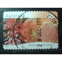 Австралия 2011 Цветы эвкалипта
