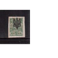 Украина-1919,(Заг.7А)  * , Гражданская война, Украинская Держава, Надп. на марках России(1)