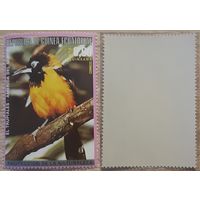 Экваториальная Гвинея 1976 Североамериканские птицы.Желтуха