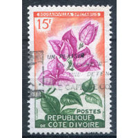 Кот-д 'Ивуар - 1961/62г. - Цветы, 15 Fr - 1 марка - гашеная. Без МЦ!