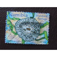 Намибия 1998 г. Цветы.