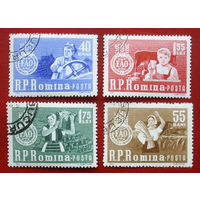 Румыния. Борьба с голодом. ( 5 марок ) 1963 года. 2-15.