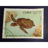Марки Куба 1983 Черепахи