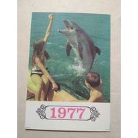 Карманный календарик. Дельфин .1977 год