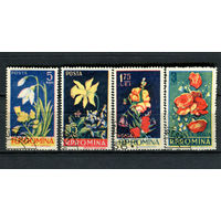 Румыния - 1956 - Цветы - [Mi. 1589-1592] - полная серия - 4 марки. Гашеные.  (Лот 183AM)
