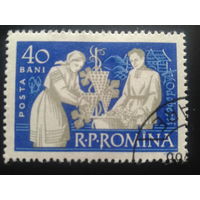 Румыния 1960 сбор винограда