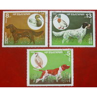 Болгария. Собаки. ( 3 марки ) 1985 года. 6-4.