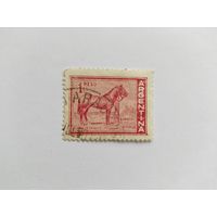 Аргентина 1959  лошадь