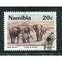 Намибия. Фауна. Слоны