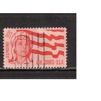 США-1962, (Мих.829) , гаш.  , Скауты, Девушки, Флаг(одиночка)
