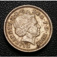 1 фунт 2002
