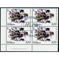 Пчёлы, осы, шмели Беларусь 2004 год (573) квартблок