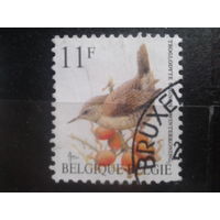 Бельгия 1992 Стандарт, птица 11 франков