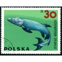 Ископаемые животные Польша 1966 год 1 марка