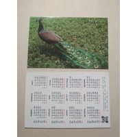 Карманный календарик. Зоопарк. Павлин. 1991 год