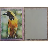 Экваториальная Гвинея 1976 Североамериканские птицы.Маятник с капюшоном