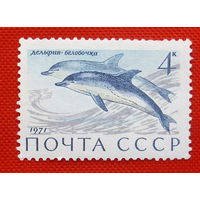 СССР. Млекопитающие - обитатели морей и океанов. ( 1 марка ) 1971 года.