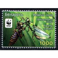 Беларусь 2010 #842. Рагаты дзедка (1000 руб)