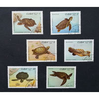 Куба 1983 г. Морские черепахи. Фауна, полная серия из 6 марок #0039-Ф2P7