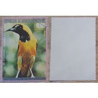 Экваториальная Гвинея 1976 Североамериканские птицы. Маятник с капюшоном