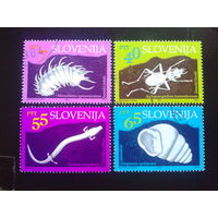 Словения 1993 подземная фауна полная серия
