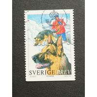 Швеция 2001. Рабочие собаки