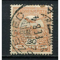 Венгрия - 1908/1913 - Турул и Корона 30f - [Mi.101Y] - 1 марка. Гашеная.  (LOT Ao20)