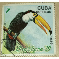 Куба 1989. Ramphastos toco