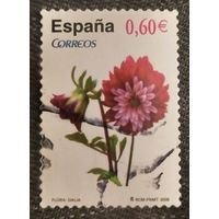 Испания 2008, цветок