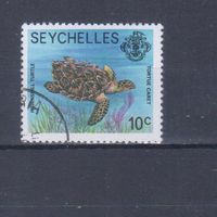 [1631] Сейшеллы 1977. Фауна.Черепаха. Гашеная марка.
