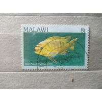 Малави.1984г. Фауна.