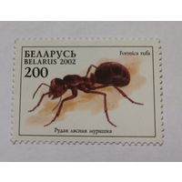 Беларусь 2002 муравей