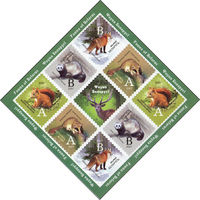 Десятый стандартный выпуск. Фауна Беларуси Беларусь 2007 год (691-694) серия из 4-х марок в листе