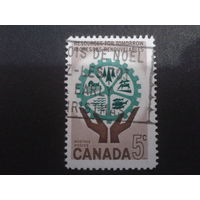 Канада 1961 берегите природу