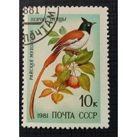 Марка СССР 1981 Певчие птицы