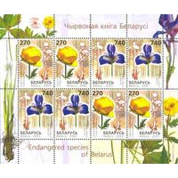 Редкие виды цветов Беларусь 2003 год (513-514) 1 малый лист