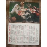 Карманный календарик.1984 год. Цирк.  Кошкин дом