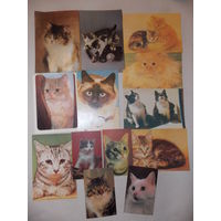 Открытки СССР, календарики  с котами, котятами. наличие уточняйте