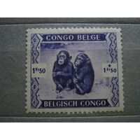 Марки. колонии, Бельгийское Конго, фауна, обезьяны