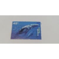 Австралийские антарктические территории. 1995. Киты и дельфины