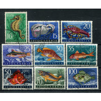 Югославия - 1956г. - рыбки, югославская фауна - 9 марок - полная серия, гашёные с клеем, одна марка без клея [Mi 795-803]. Без МЦ!