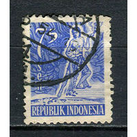 Индонезия - 1953 - Аллегория 75S - [Mi.107] - 1 марка. Гашеная.  (Лот 42FB)-T25P9