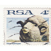 Овцы-мериносы 1972 год