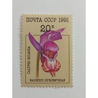 1991 СССР. Орхидеи. Калипсо луковичная