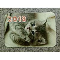 Календарик карманный 2018 котенок