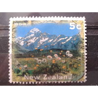 Новая Зеландия 1996 Стандарт, ландшафт 5с